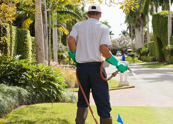 About Coleman GA Pest Control Pros